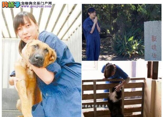 狗狗安乐死前撒娇卖萌  美女兽医心软流泪