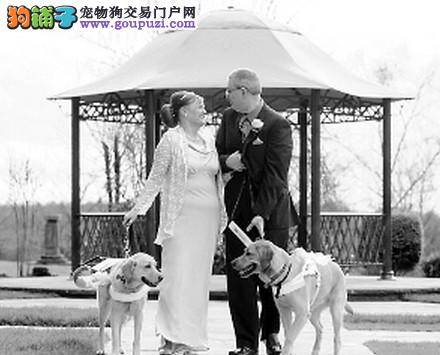 全犬种冠军展将在郑州中原国际展览中心举办