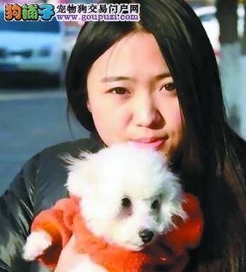宠物狗选美大赛在徐州举办