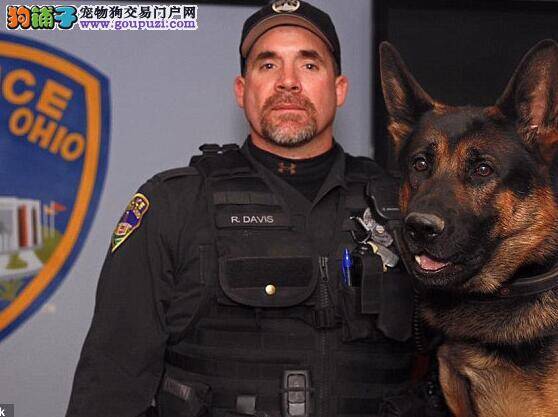 忠诚警犬为救主人光荣牺牲 警察赞扬此犬为它盖上国旗