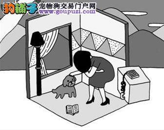 了解宠物狗对家庭的重要性
