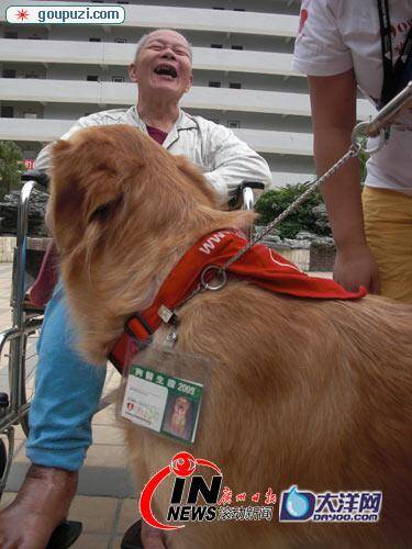 佩戴红领巾的“狗医生”来到广州市寿星大厦养老院