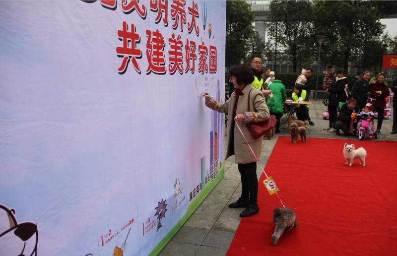两江新区：宠物狗“走秀”促进社区文明养犬