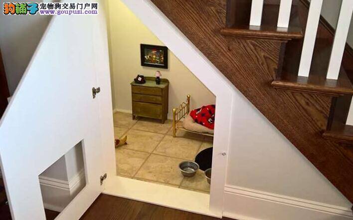 超有爱主人 为爱犬把楼梯间变成「狗卧室」