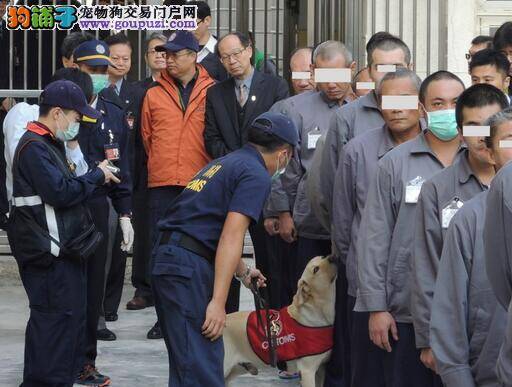 台湾狱政首次引进缉毒犬清查毒品