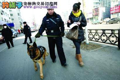 专职携犬员与可爱警犬的故事