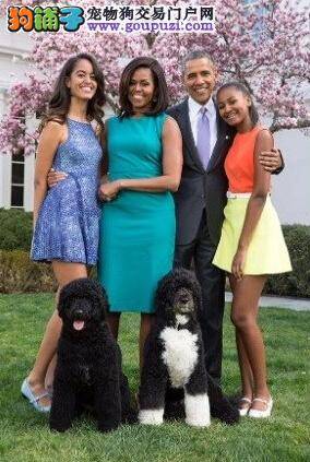 美国总统奥巴马酷爱宠物 家中狗狗为他赚足了人气