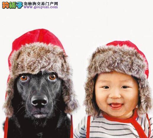 流浪狗被收养与主人幼子同款装扮一起入镜