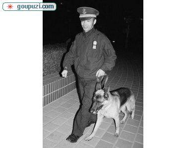 广州公安局为方便狗只上牌或上门登记