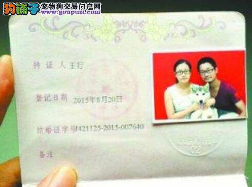 爱狗夫妻晒结婚证 照片中竟有狗狗