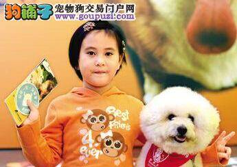 东阳市执法局近期加强犬类管理 规范养犬行为