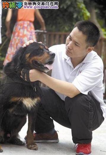 一收废品老人家，不小心压死贵宾犬遭狗主人毒打