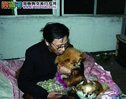 生活不孤单 法国总统受赠拉布拉多犬为新伴