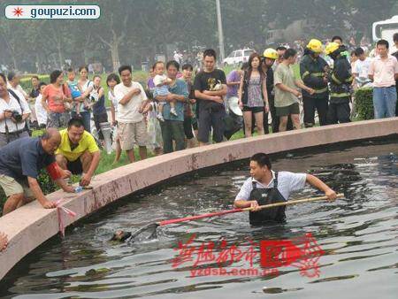 邯郸市民消防齐动手 众人合力营救落水流浪狗