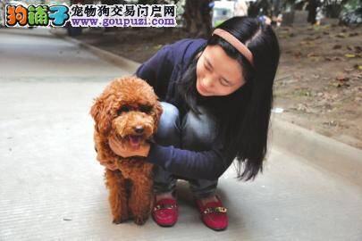 爱犬回归，主人晒寻犬秘籍