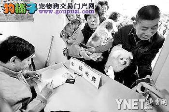 北京养犬将集中年检 犬主给狗做绝育政府奖200