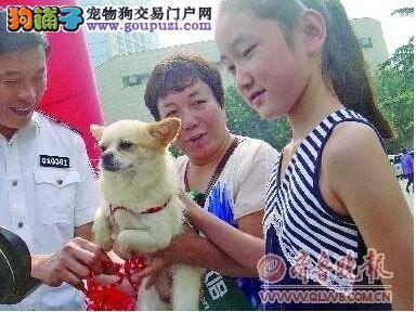 济南市公安局爱心养狗，25只宠物狗被成功收养