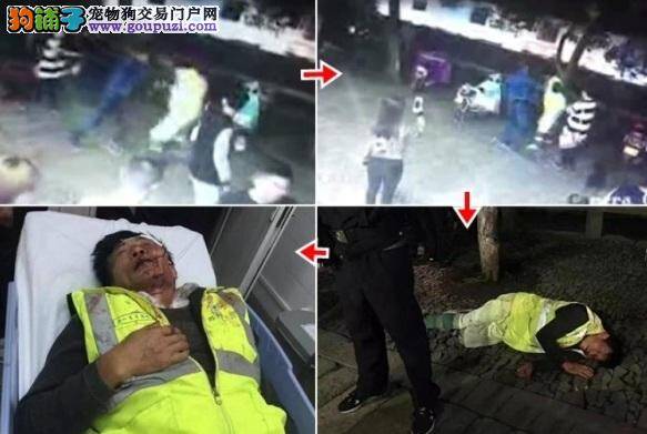 苏州清洁工险撞贵妇狗，遭恶狗主狂殴爆头