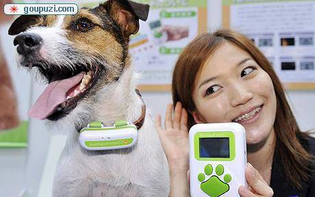 日本厂商推出犬声翻译器与小狗对话成现实