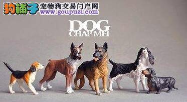 天津欲设立全球最大克隆工厂 克隆工作犬及赛级动物