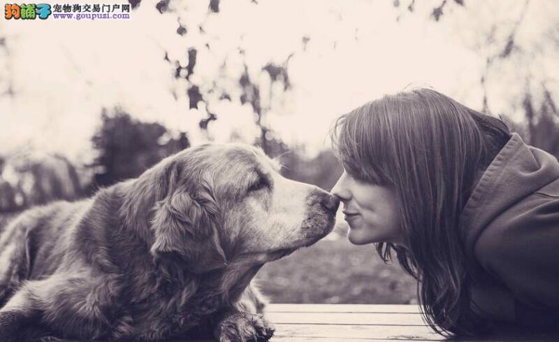 研究表明狗狗是人类的好朋友是正确的