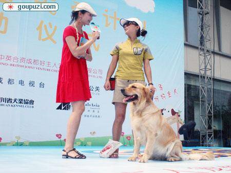 《昆明市养犬管理条例》出台前两年已办犬证12400余张