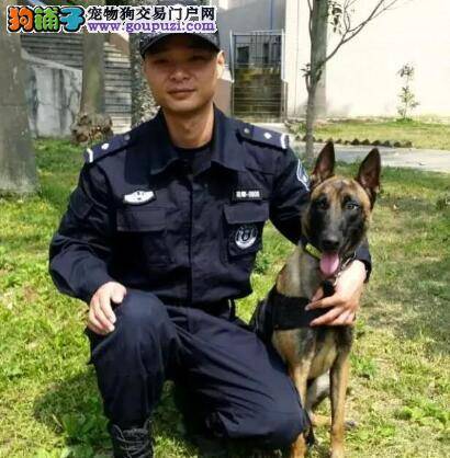 高龄老人走失 警犬出动帮忙寻找