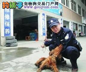 破获狗狗纠纷案，常州民警有妙招