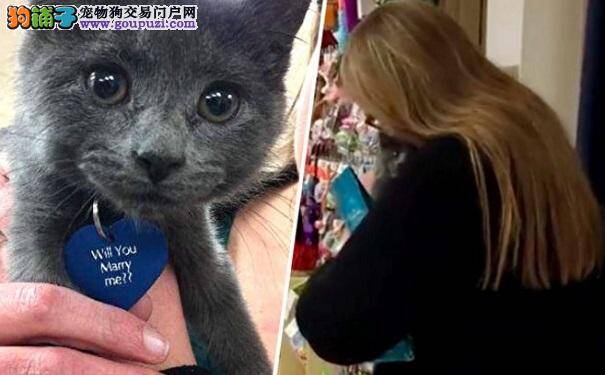 善良女子领养小猫 没想到猫咪名牌上写着一个惊喜