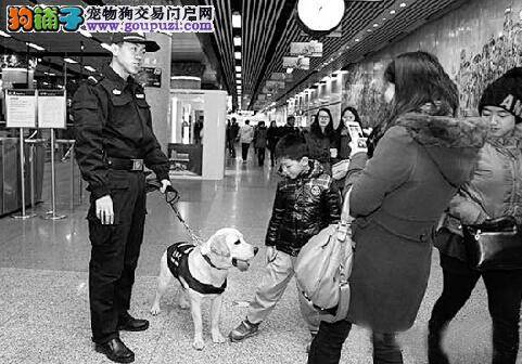 三只狗狗亮相杭州地铁站 维护乘客出行安全