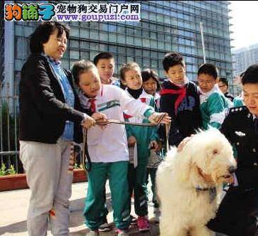 广州警方走进校区向小学生宣传文明养犬