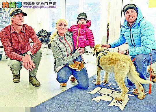 义犬被救后感恩主人 接受检查后与主人重聚