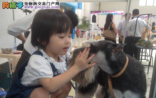 警犬驻守安检口保障北京地铁运营安全
