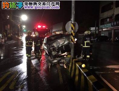 轿车雨夜中闪狗自撞，车头严重凹陷