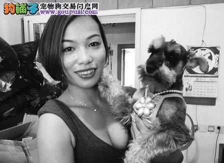 虐杀松狮犬有报应 温州无情杀狗嫌犯落入法网