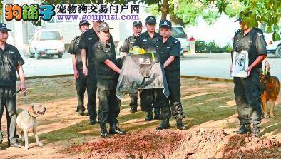 武汉警犬基地为功勋犬旺财举行告别仪式