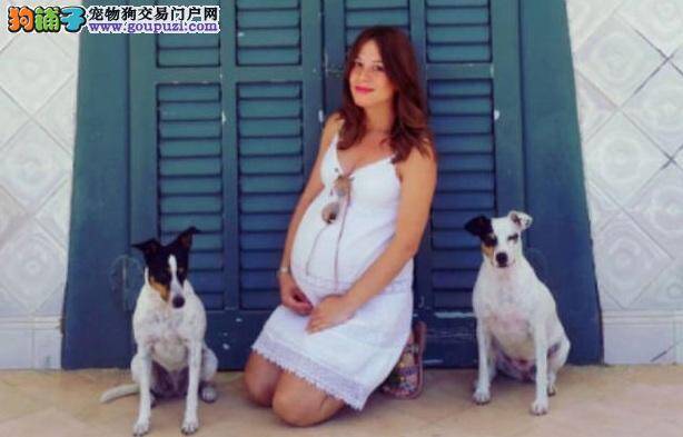 狗狗如何知道你已怀孕？怎么让宠物狗和小孩和平相处