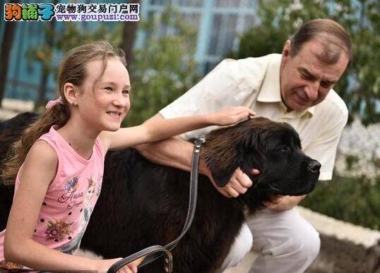 女孩爱狗求助普京 总统亲自送狗上门