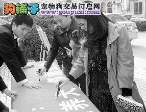 深圳300名居民签名承诺做文明养犬人