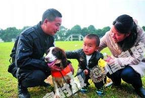 警犬退役，欲寻一位好主人