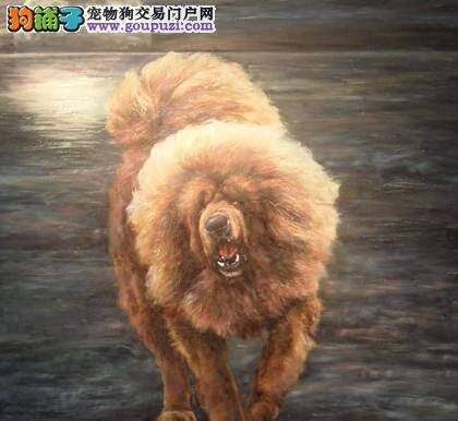 全国首次藏獒油画艺术展在北京举行