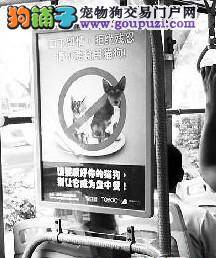 广州首现“拒食猫狗”公益广告，众多网友转发微博
