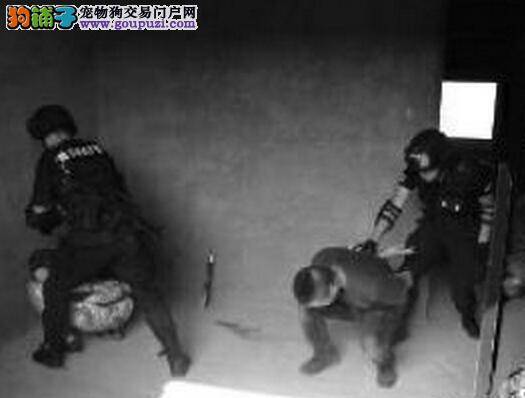 合阳街头开展实战演习 警犬协助警方抓获“疑犯”