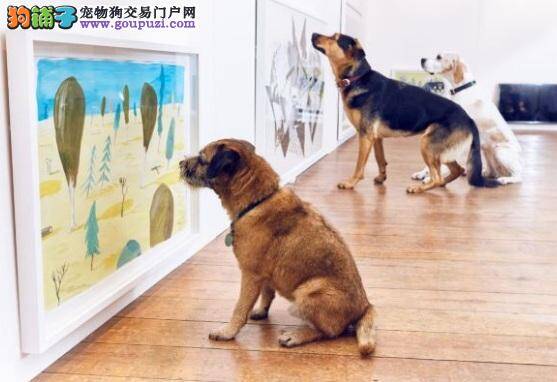 专属艺展登场，狗狗也能当文青