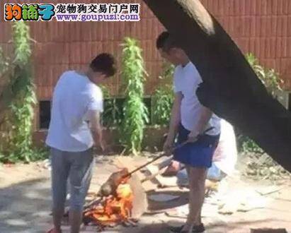 汕头三男子住宅区内烤狗 网友直呼：太残忍