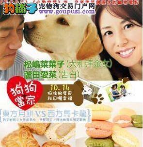 日本又推出狗狗电影，宠物狗月饼也来助阵