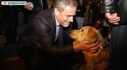 《成都市养犬管理条例》拟禁止携带宠物狗进入公共场所