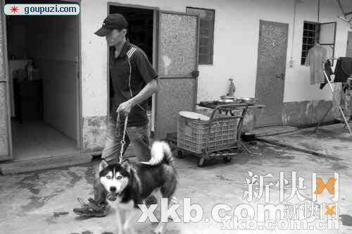 《广州市养犬管理条例》需要更人性化的落实过程