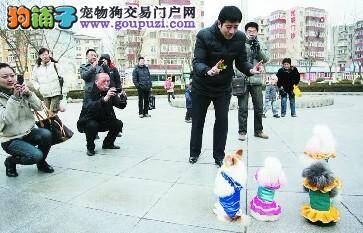 天津开展“文明养犬”活动，帮居民解决养狗难题