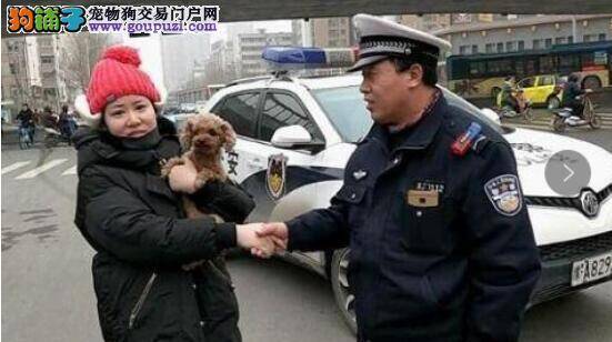 郑州女子丢失爱犬每天满大街找，通过呼唤声找回了狗狗